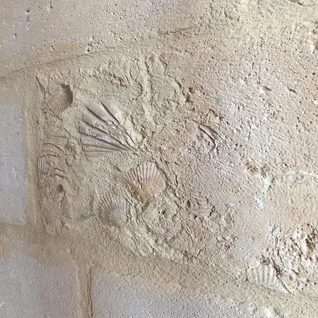 Maison d'hôtes Casa Stano